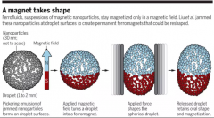 北京化工大學Science：液態磁鐵新發現，未來空間大無窮